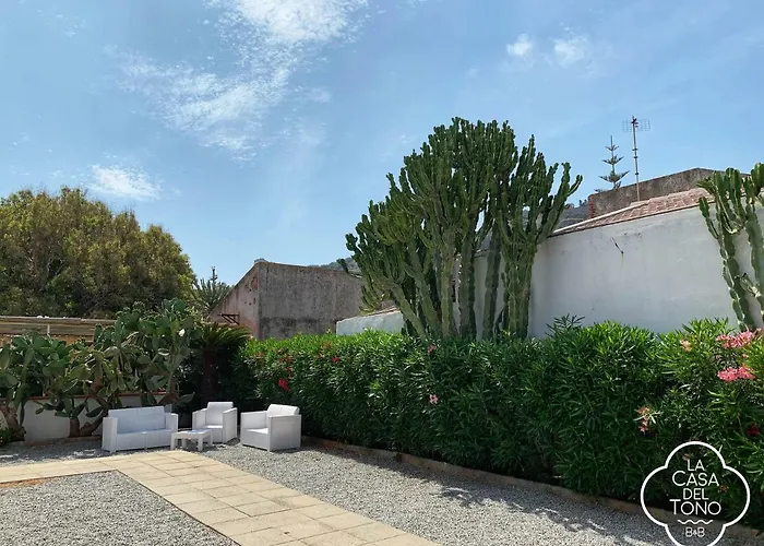 La Casa Del Tono